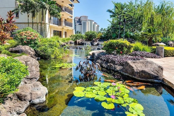 A landscaped garden with a pond, rocks, and tropical plants. - Beachfront Beach Villas at Ko Olina O-501 (Kapolei)