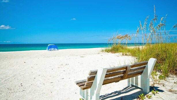 A beach with a bench, a tent, and tall grasses.