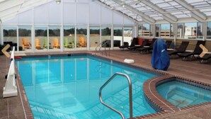 A swimming pool with a glass ceiling, surrounded by lounge chairs and a view of the landscape. - 1 Bedroom Studio on the Virginia Beach waterfront (Virginia Beach)