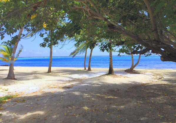 On the beach, sun-loungers, beach towels