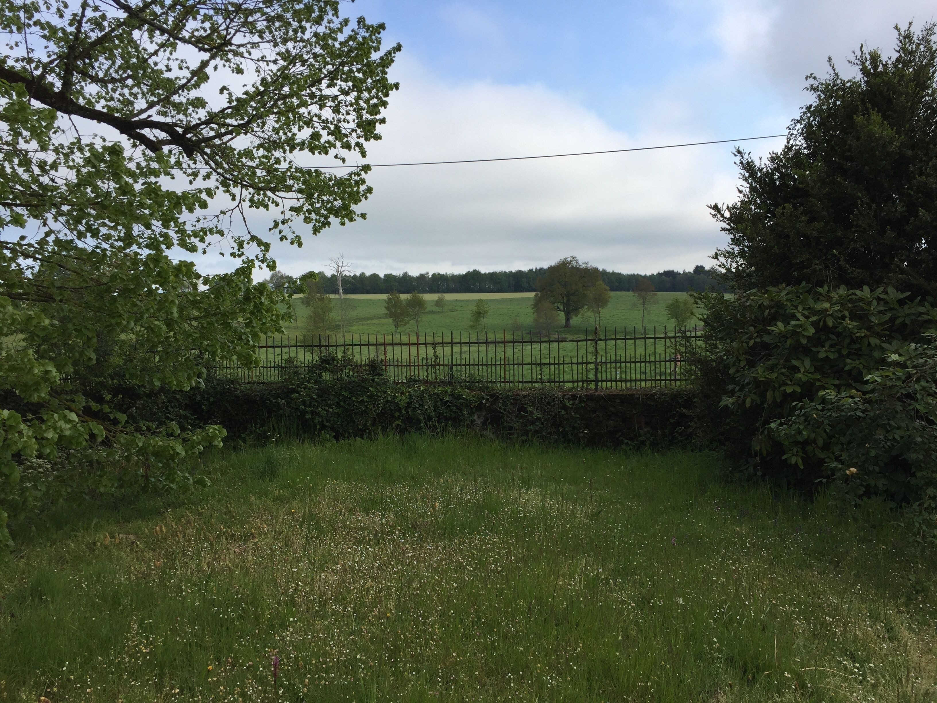 A rural landscape with a fence, trees, and a field.
