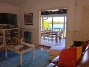 スマートテレビ、暖炉、DVD プレーヤー、書庫