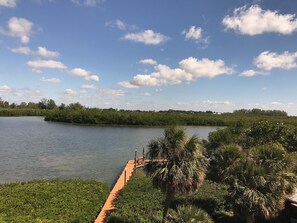 A view of a lake with a wooden dock extending into the water, surrounded by lush greenery and trees.