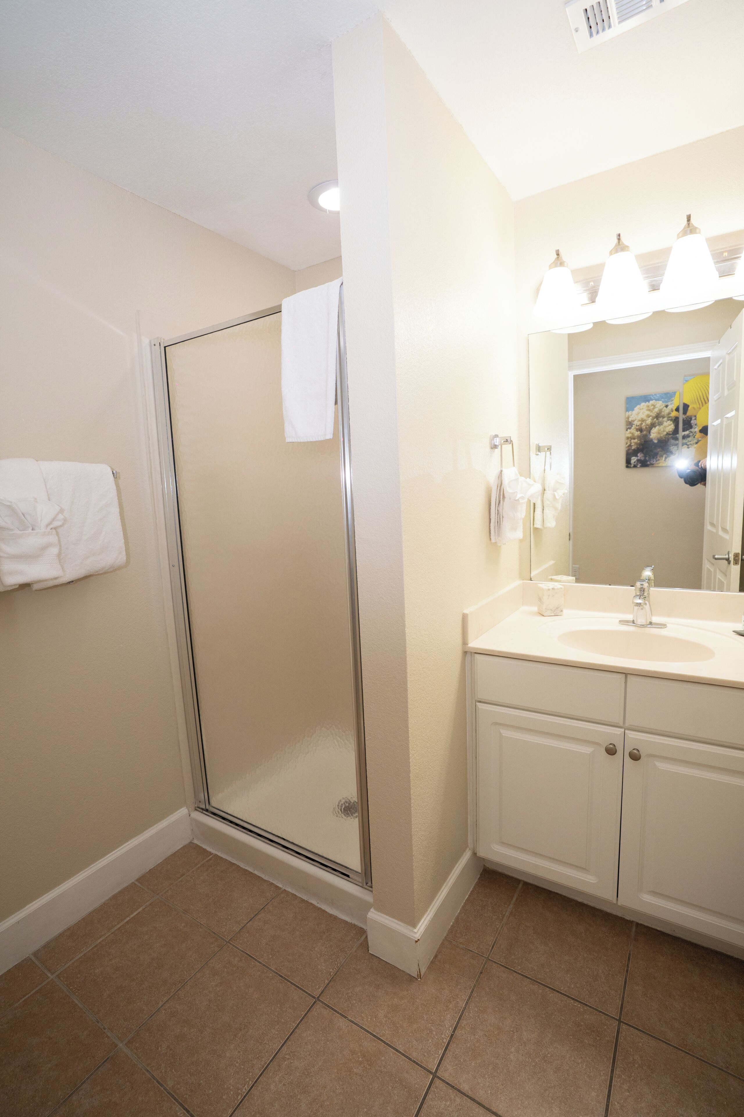A bathroom with a shower, a sink, and a mirror.