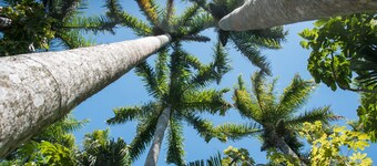 Private Heated Pool Home Near Downtown & Legacy Trail