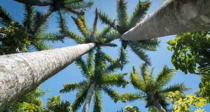 Private Heated Pool Home Near Downtown & Legacy Trail