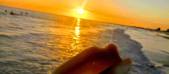 3 bedroom Home with Pool Near Downtown.