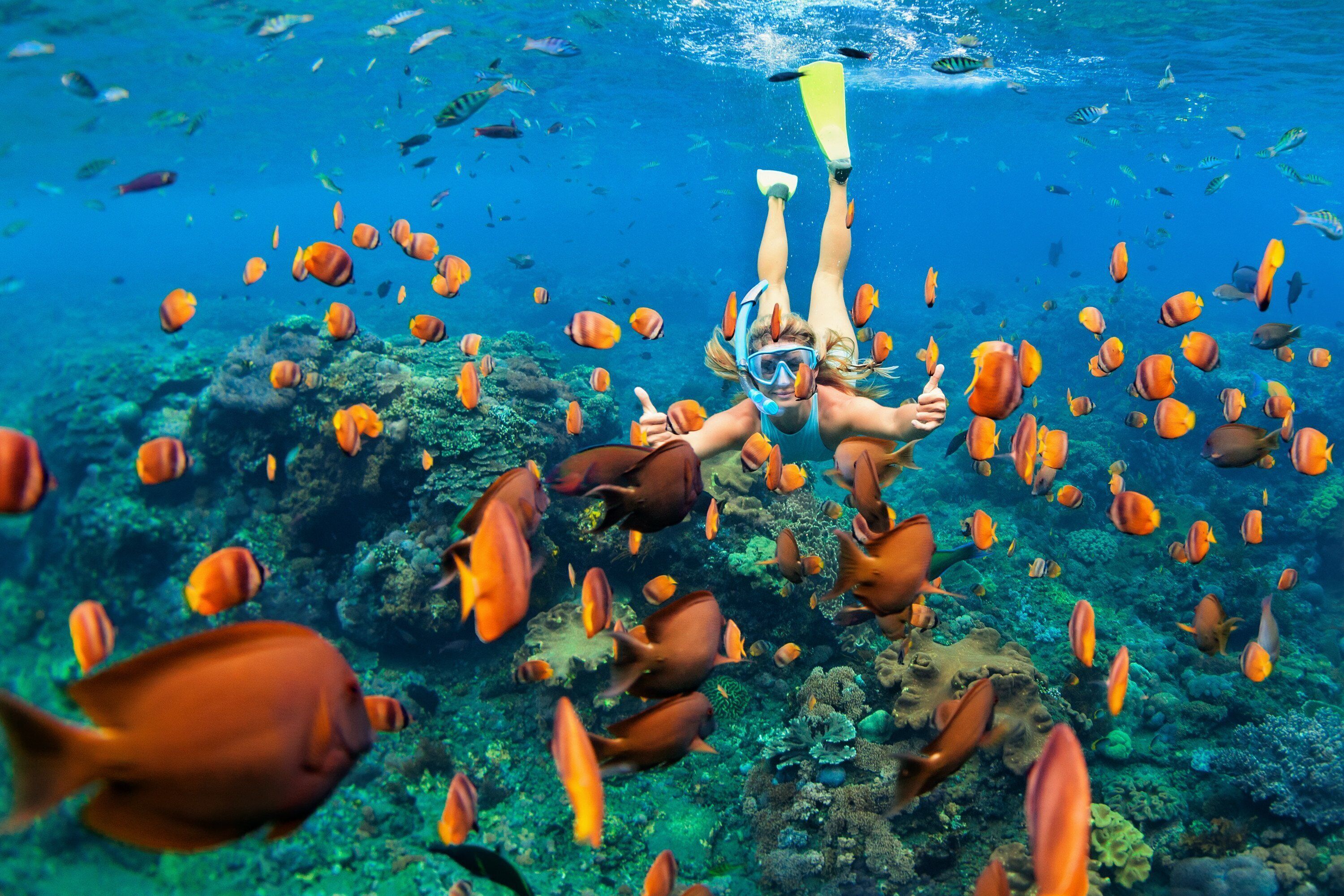 Une personne faisant de la plongée avec tuba, entourée de poissons.