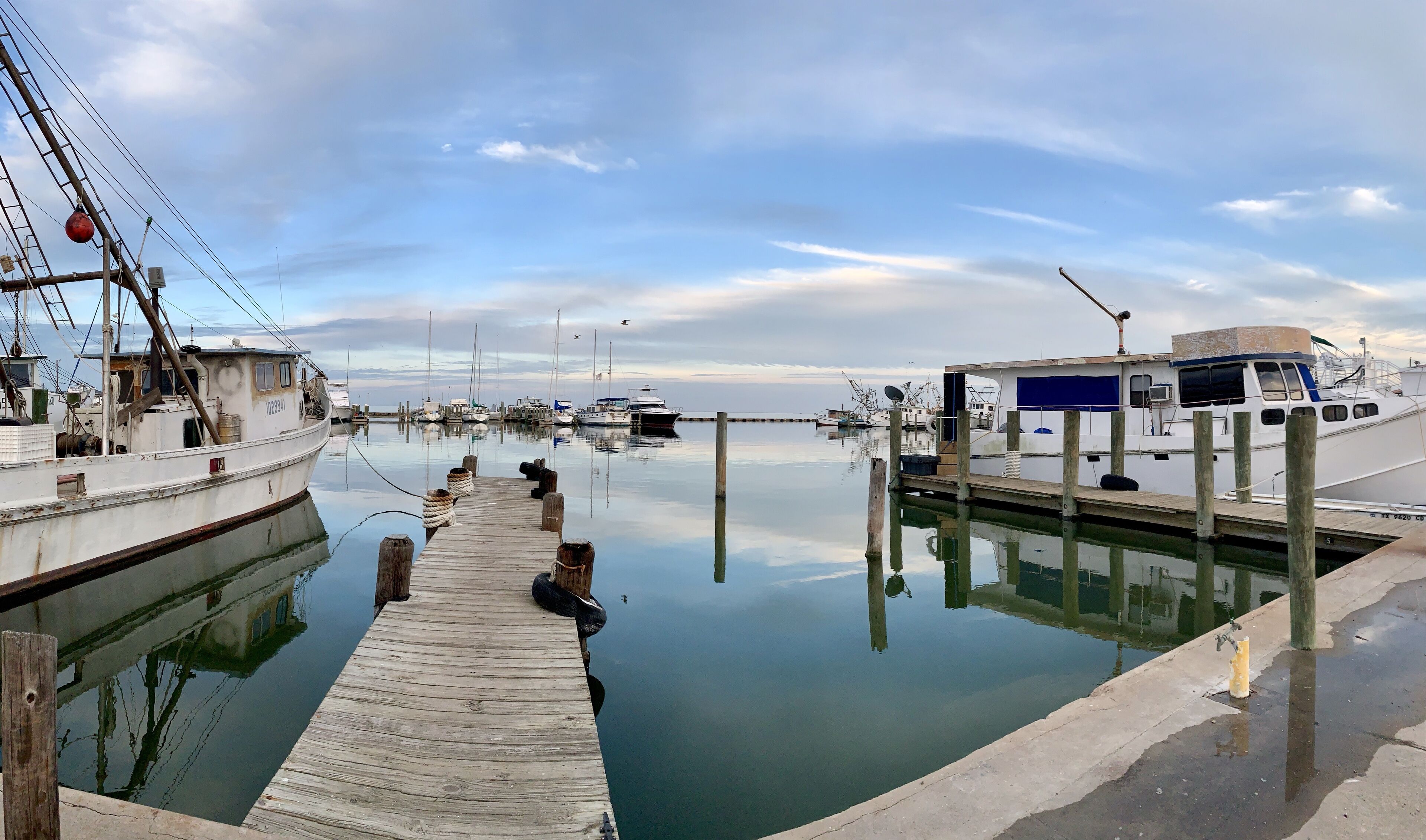 Marina