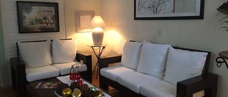 TV, DVD-spiller, bøker og stereoanlegg