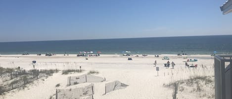 On the beach