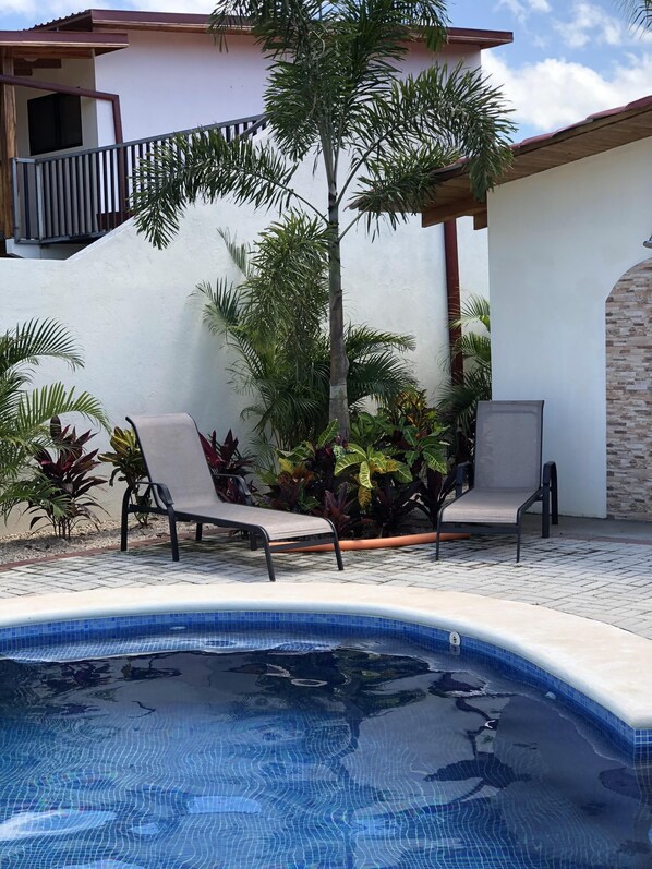 Une piscine bordée de deux chaises longues, entourée de différentes plantes tropicales.