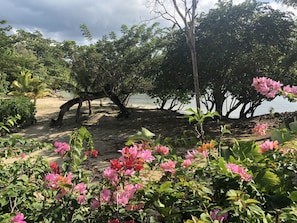 On the beach, sun loungers, beach towels - Private Luxury Beachfront/Oceanfront Townhome in Beautiful Negril, Jamaica (Negril)