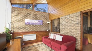 Smart TV, chimenea y reproductor de DVD 