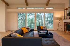 Smart TV, fireplace, books