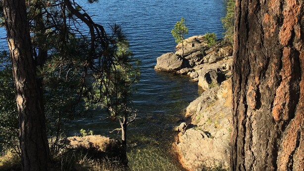 Paisaje natural con vista despejada de un lago, orilla rocosa y árboles.