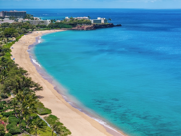 A coastal hotel with a beach view, a pool, and a restaurant.