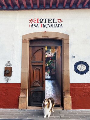L’entrée d’un hôtel, avec une porte en bois, une enseigne au-dessus indiquant « Hôtel Casa Encantada » et une plaque numérotée indiquant le numéro de chambre 15.