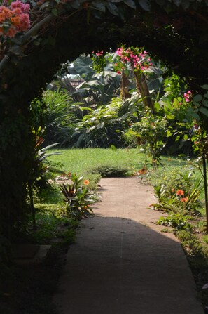 Terrein van de accommodatie