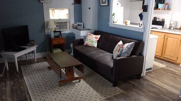 Smart TV, fireplace, books