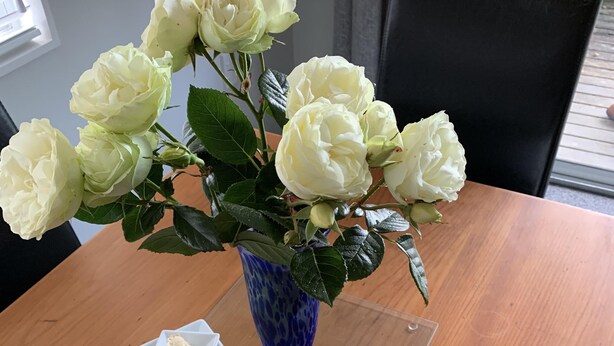 Pöydällä on sininen maljakko, jossa on valkoisia ruusuja, valkoinen lautanen, jossa on erilaisia juustoja ja levitteitä, sekä kaksi tyhjää viinilasia.