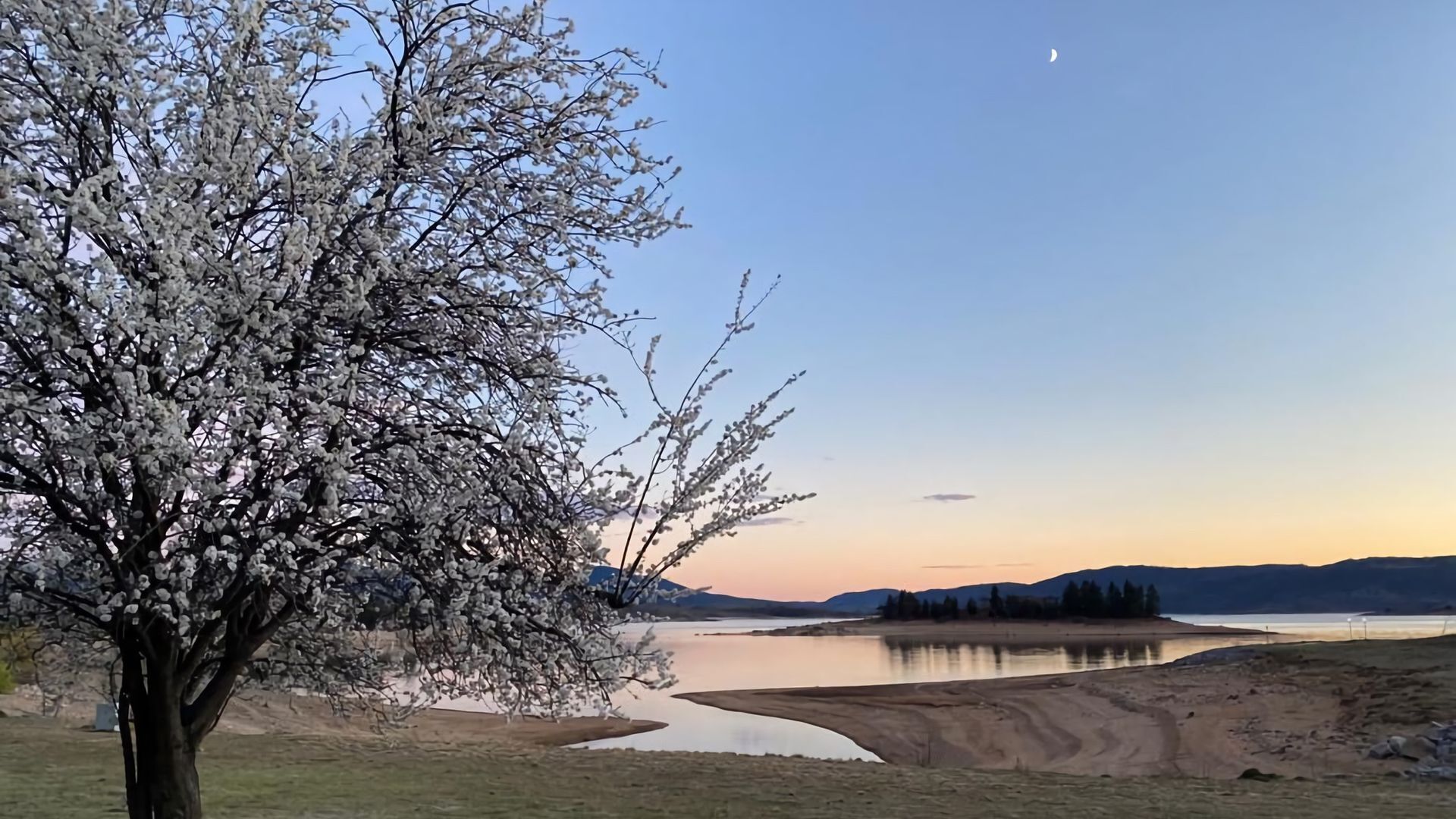 En vacker utsikt över sjön, med träd längs strandkanten, klar himmel och avlägsna berg i bakgrunden.