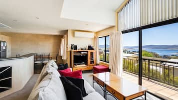 Smart TV, fireplace, DVD player