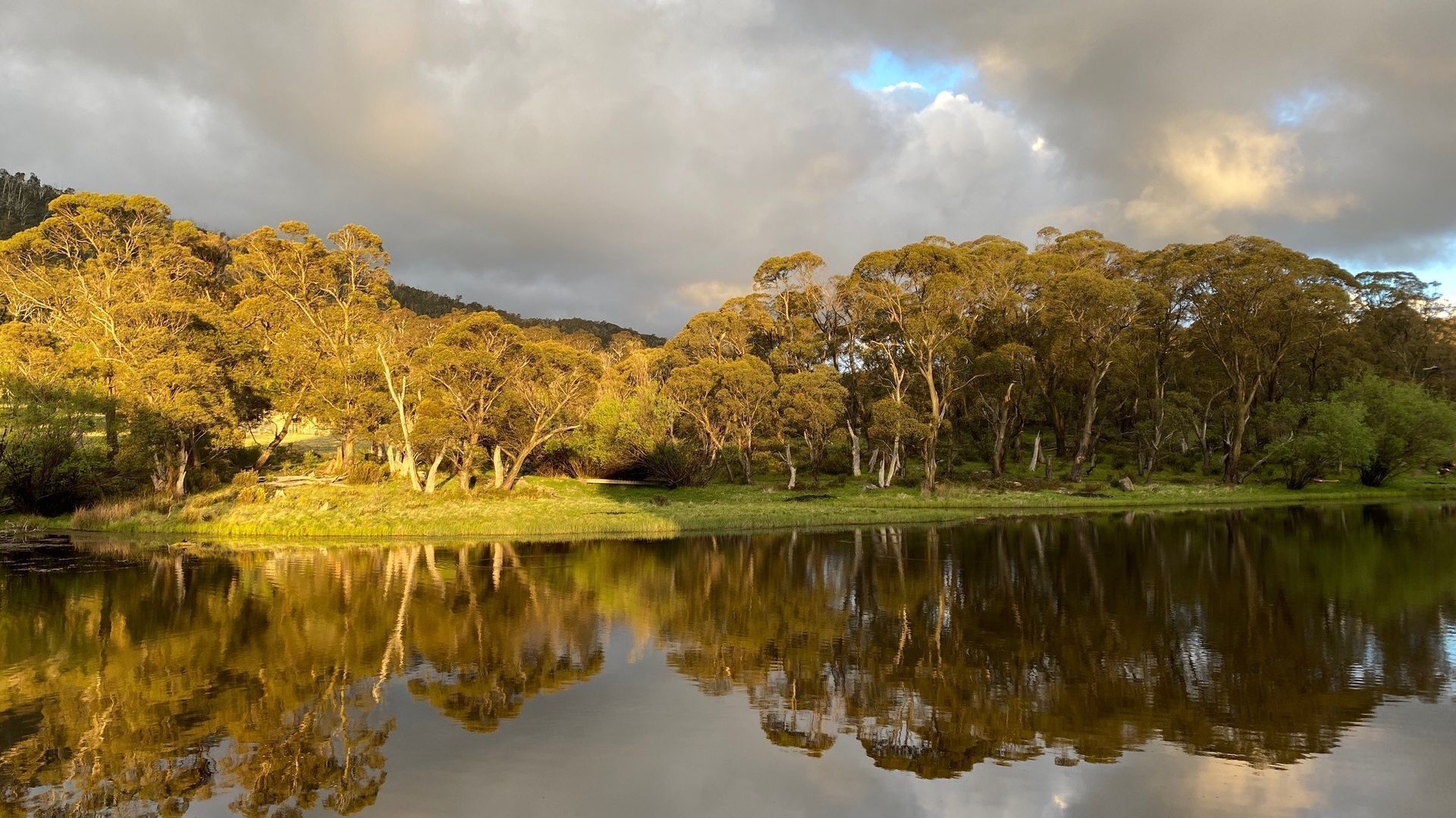 A calm lake reflecting trees and a cloudy sky.