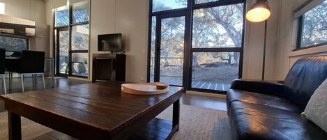 Smart-TV, Kamin