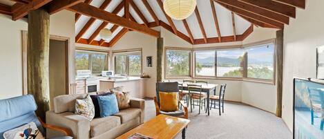 Smart TV, chimenea y reproductor de DVD