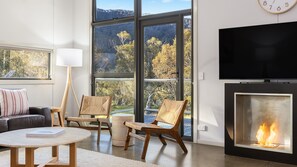 TV connectée, cheminée, lecteur de DVD