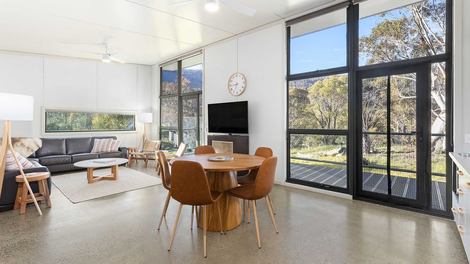 智能電視、壁爐、DVD 播放機