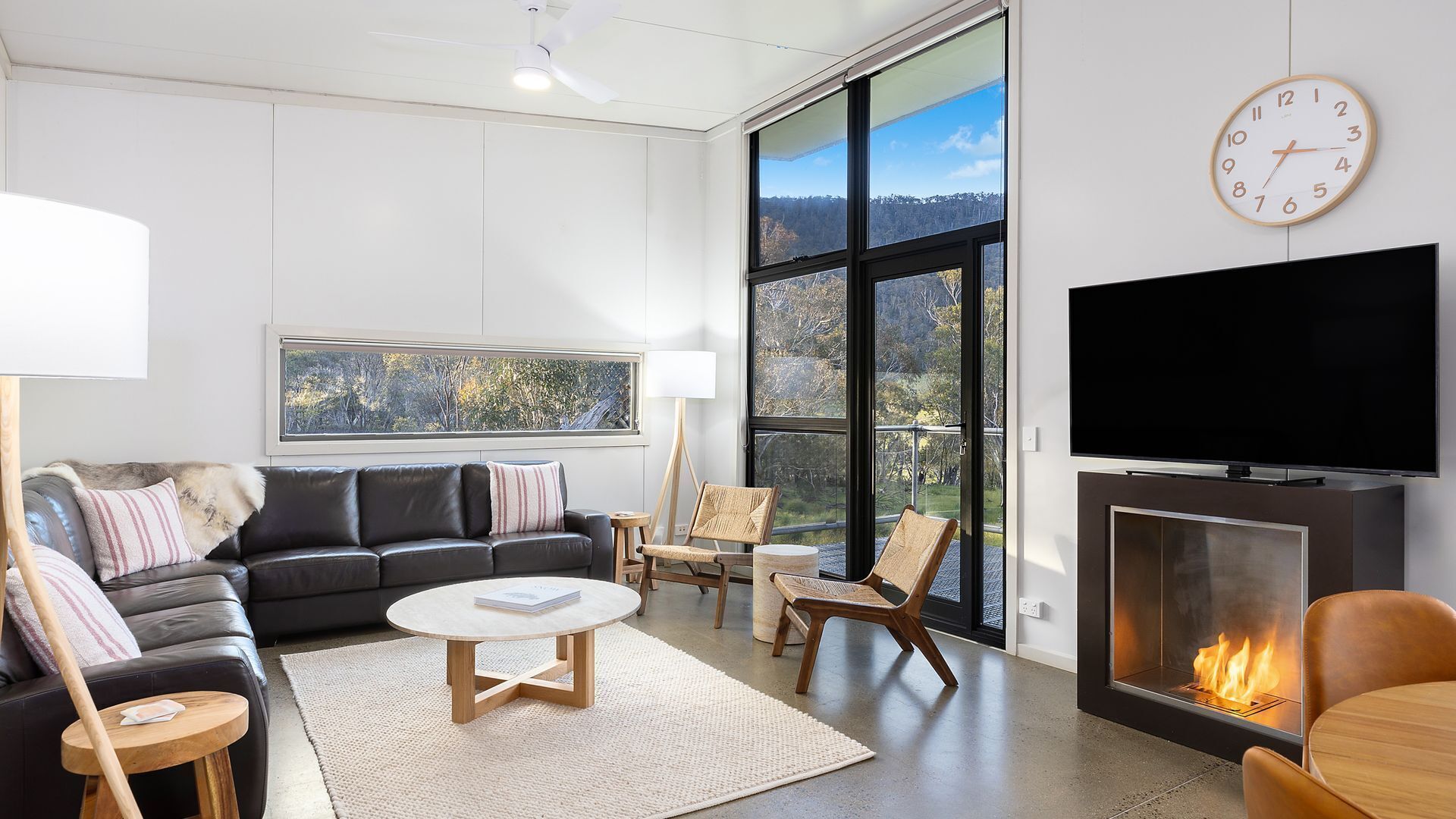 TV connectée, cheminée, lecteur de DVD