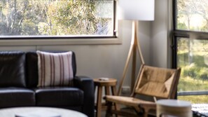 Smart-tv, pejs, dvd-afspiller