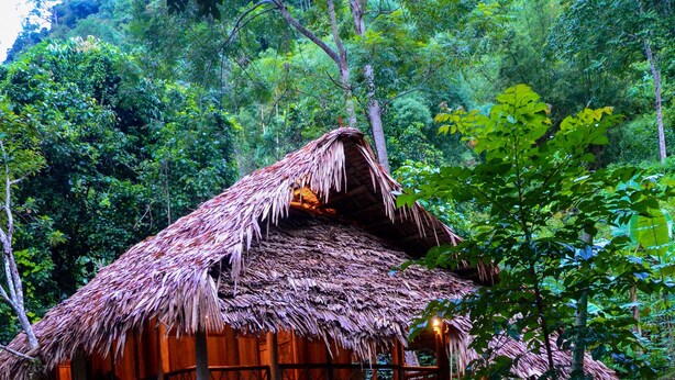 Une structure rustique en bois, dotée d’un toit de chaume, d’une terrasse en bois et d’un pont enjambant un ruisseau.