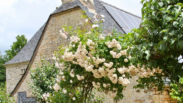 Un bâtiment en pierre avec une cheminée, un jardin avec des fleurs blanches et un portail en métal.