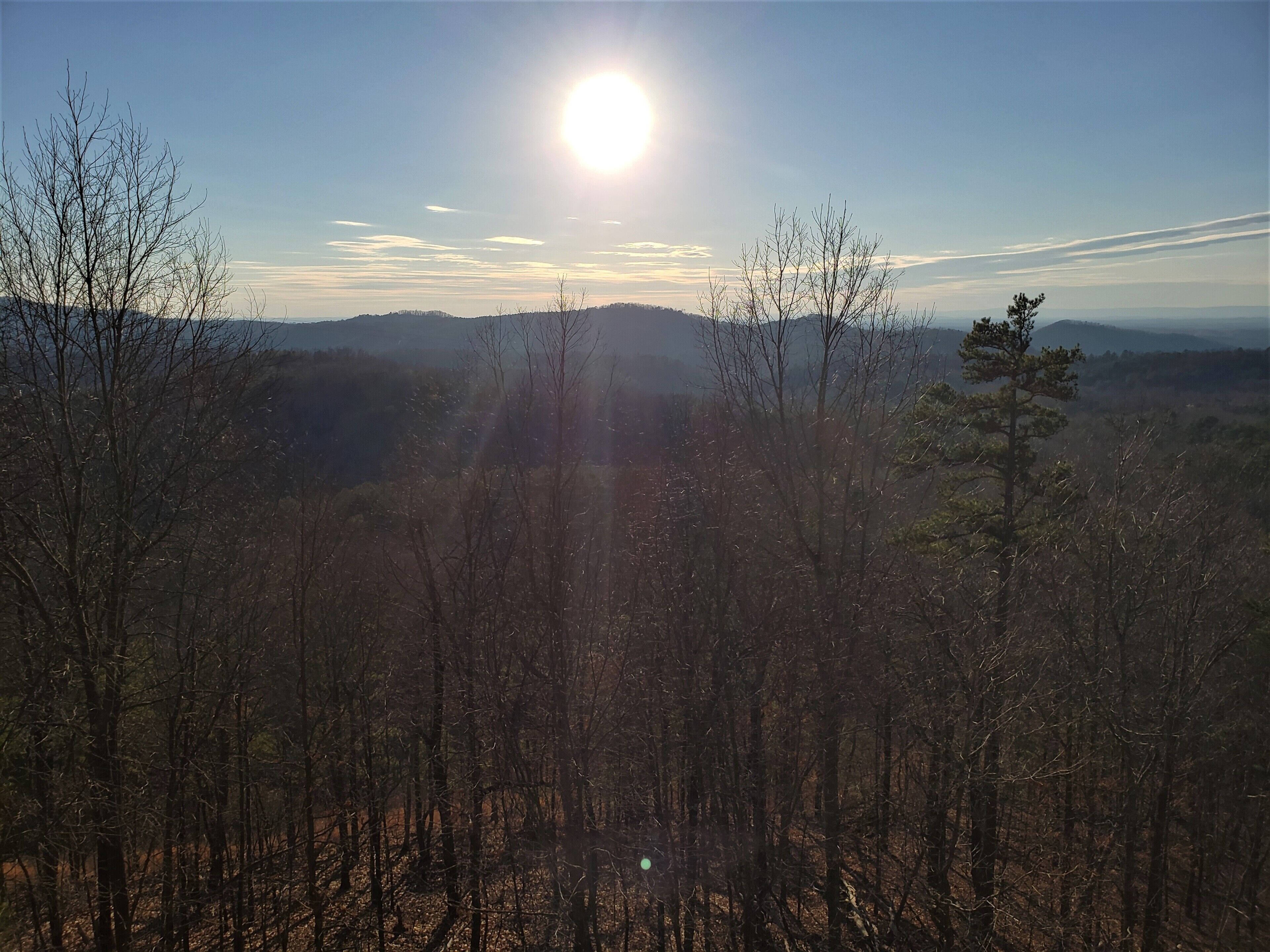 A forested landscape with a clear sky and the sun shining through the trees.
