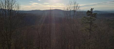 A forested landscape with a clear sky and the sun shining through the trees.
