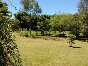 Property grounds - Accommodation for the whole family, events, camps and spiritual retreats (Estiva)