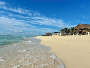 A beach with a thatched-roof structure, palm trees, and a clear blue sky.