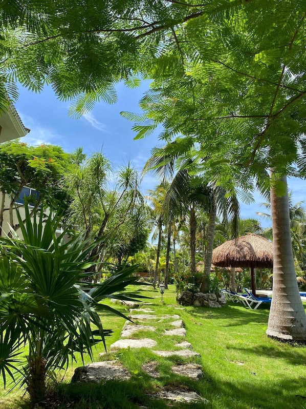 A tropical garden pathway with palm trees, a thatched-roof structure, and a pool area.