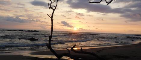 Ubicación cercana a la playa, tumbonas y toallas de playa