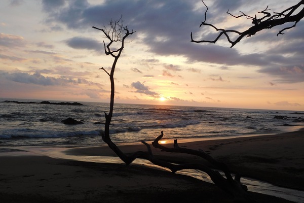 Beach nearby, sun loungers, beach towels