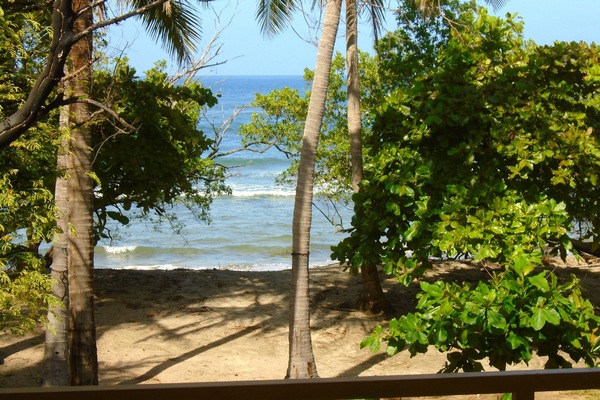 Playa en los alrededores, camastros y toallas de playa
