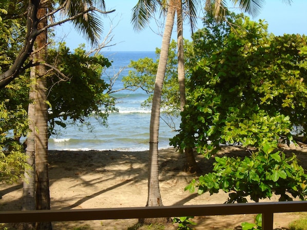 In Strandnähe, Liegestühle, Strandtücher