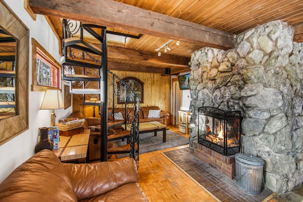 TV, fireplace, DVD player