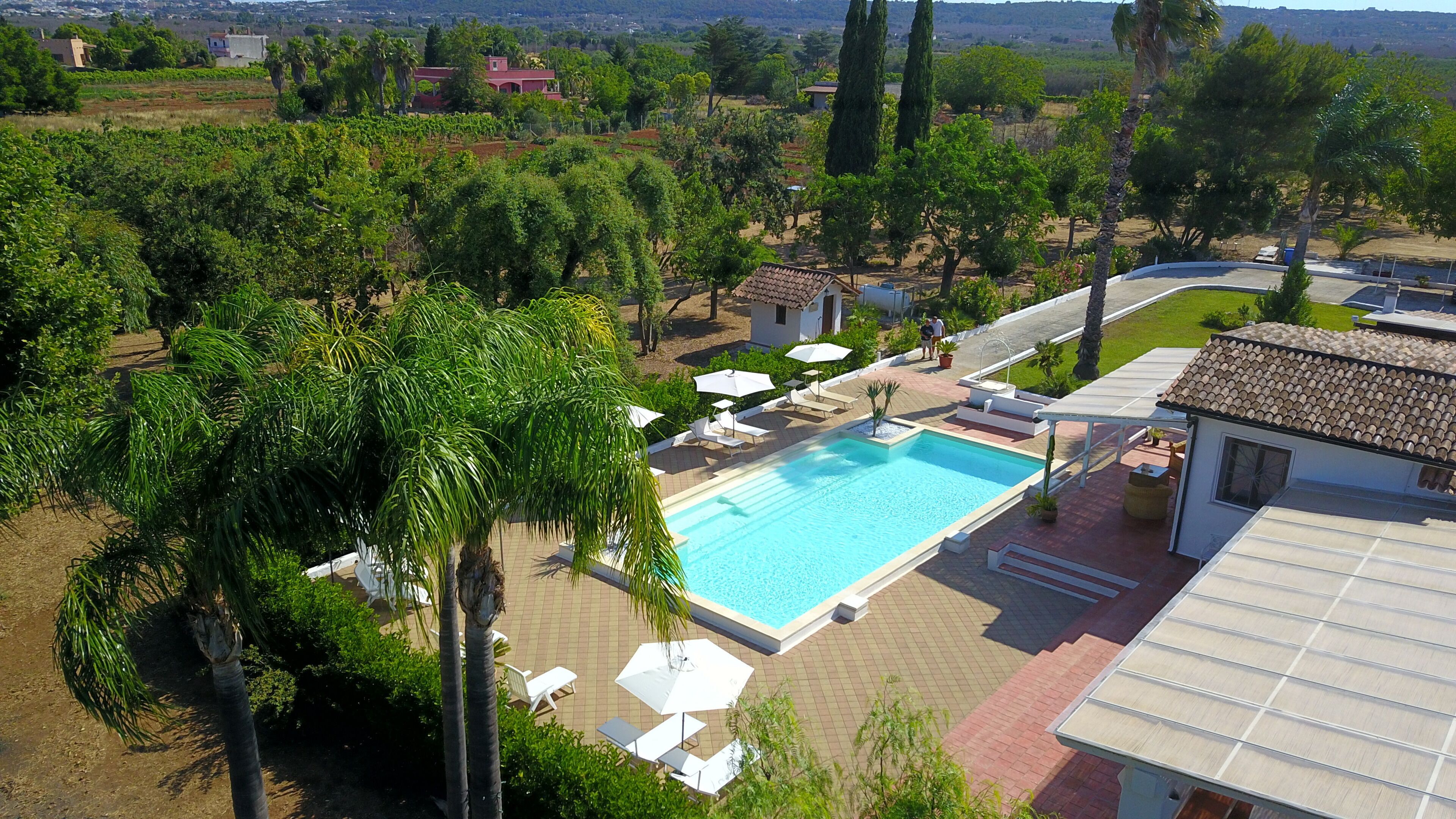 A swimming pool with lounge chairs and umbrellas, surrounded by greenery and a view of the countryside.