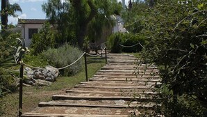 A stone pathway leading uphill, surrounded by greenery and palm trees. - Villa Vetti, beautiful villa surrounded by greenery with swimming pool, a few km from the sea (UGENTO)