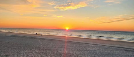 A beach with the sun setting over the horizon, calm sea, and a clear sky.