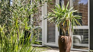 A potted plant with long, slender leaves in a brown pot on a wooden deck.